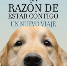 libro online