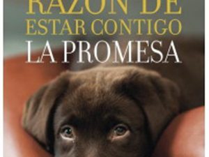 libro online