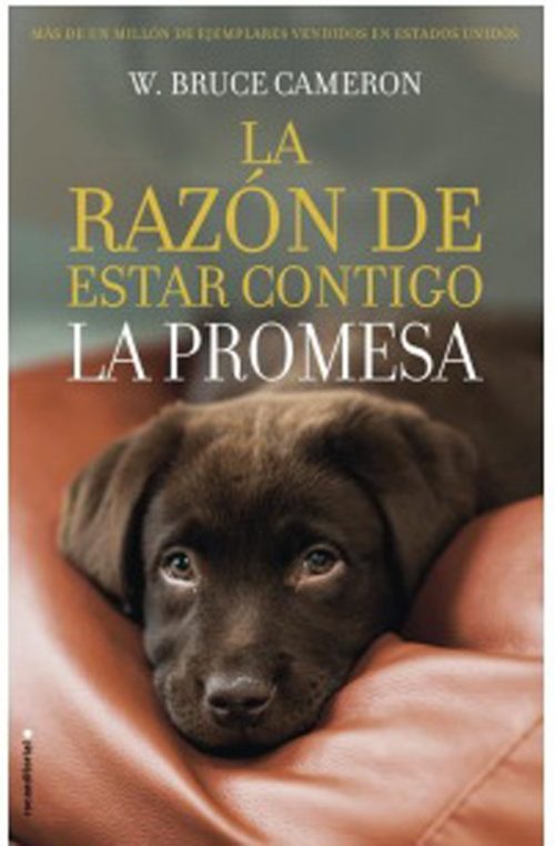 libro online